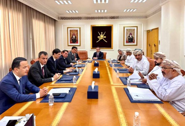 Uzbekistan, Oman explore joint projects in critical minerals