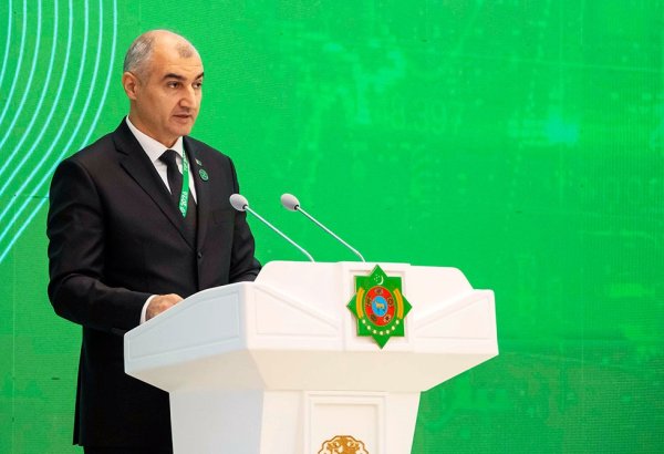 Turkmenistan's Deputy FM outlines country’s investment priorities