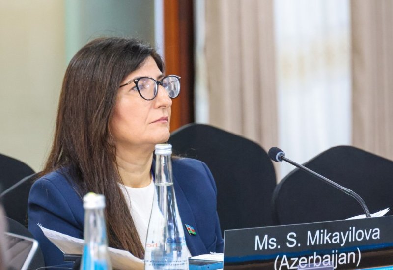 Azerbaijani MP Sevil Mikayilova attends IPU Executive Committee meeting in Arusha (PHOTO)