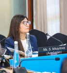 Azerbaijani MP Sevil Mikayilova attends IPU Executive Committee meeting in Arusha (PHOTO)
