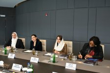 Azerbaijan, DCO discuss expanding digital cooperation (PHOTO)