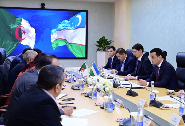 Uzbekistan, Algeria advance mining, geological exploration talks