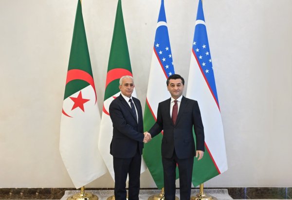 Uzbekistan, Algeria target joint projects in mineral exploration
