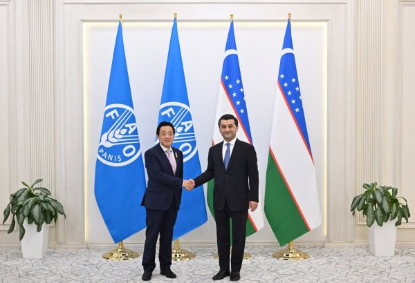 Uzbekistan, FAO review next steps in agricultural cooperation