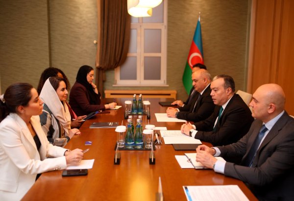 Azerbaijan, DCO discuss digitalization of public finance reforms (PHOTO)