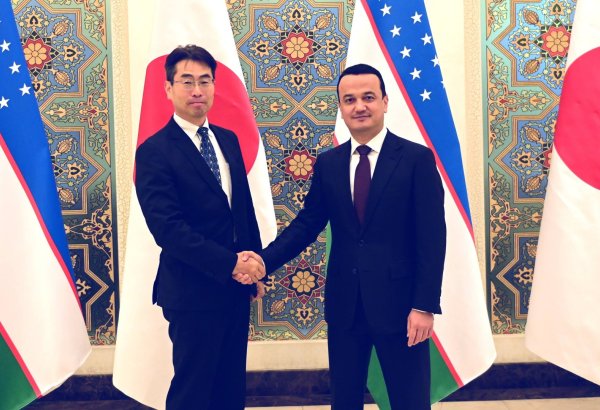 Uzbekistan, Japan advance $12 billion joint project portfolio