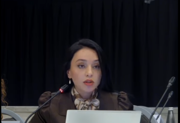 OSCE conference highlights Azerbaijan's missing citizens and landmine issue