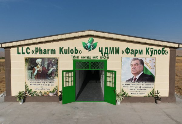 Tajikistan launches pharmaceutical production at Kulob FEZ