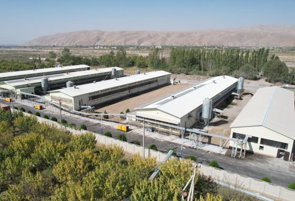 Tajikistan launches poultry feed plant with 60,000-ton capacity
