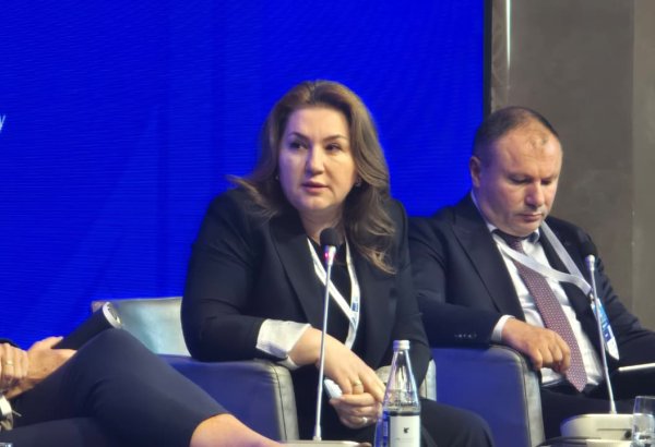 AGEC says local, cross-border grids key to renewable energy investment