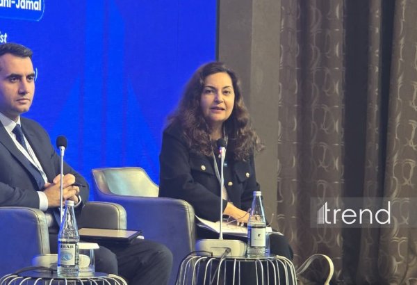 ADB uses innovative finance to attract private investment in Azerbaijan - Country Director