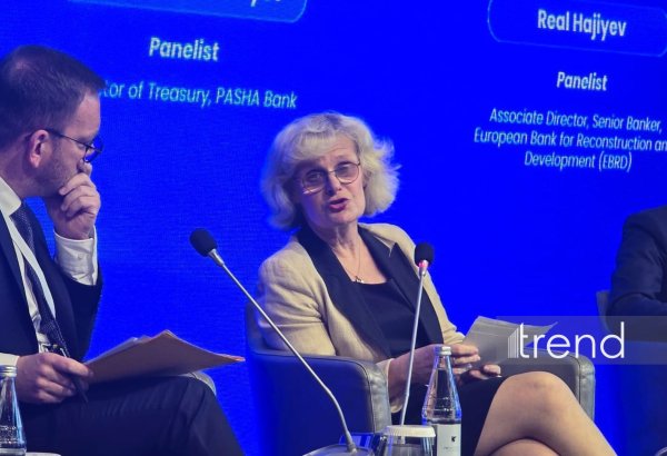 Germany may back Azerbaijan projects with export credit financing