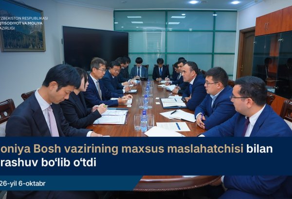 Uzbekistan, Japan discuss 2025 summit projects, new cooperation