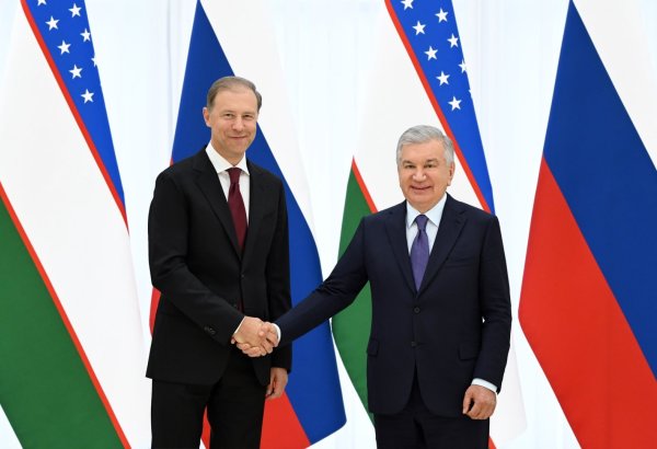 Shavkat Mirziyoyev, Russia's First Deputy PM review joint economic projects