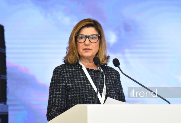 ICMP highlights systematic approach to finding missing persons
