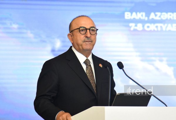 Missing Azerbaijanis remain serious humanitarian concern – former Turkish FM