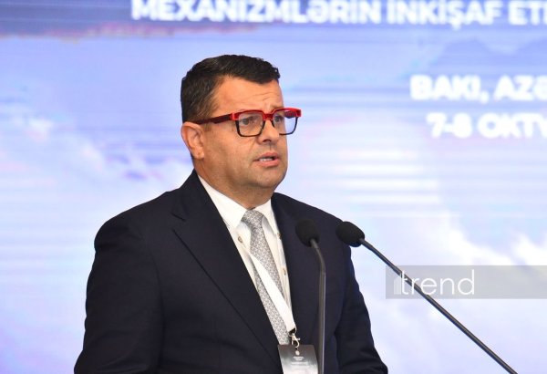 Missing persons issue concerns rights, dignity, future - Bosnia's minister