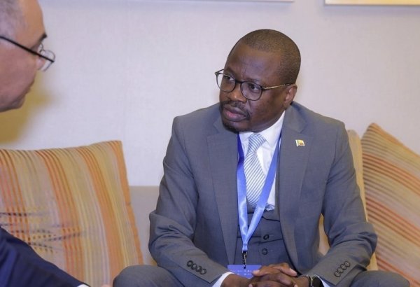 Uzbekistan, African C4+1 countries discuss agricultural cooperation
