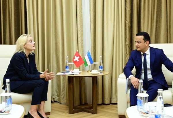 Uzbekistan, Switzerland explore new projects in energy, mining