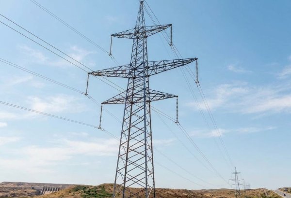 Azerbaijan reduces grid connection timeframe to 20 days - minister