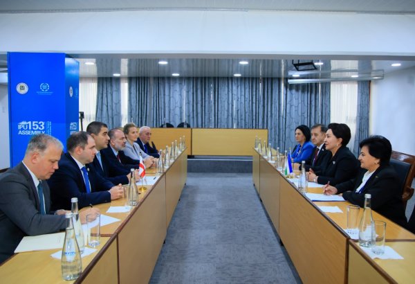 Uzbekistan, Georgia agree on 2027–2028 parliamentary roadmap