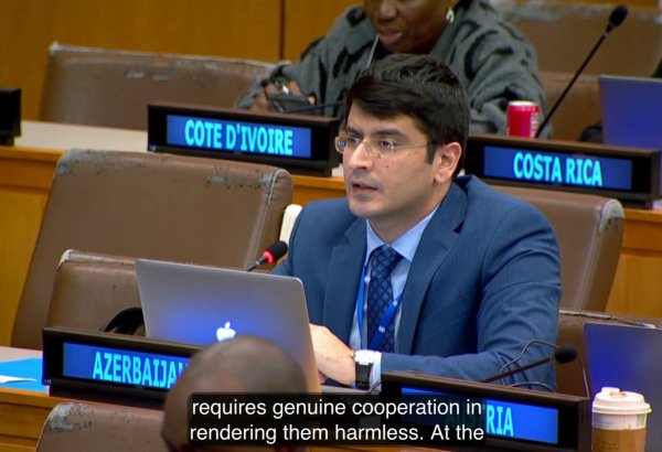 Azerbaijan reaffirms commitment to human rights protection at UN - Shahriyar Hajiyev