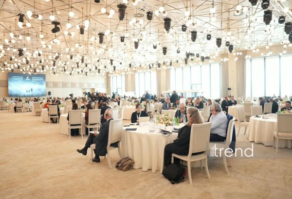 Baku discusses missing persons issue in peace processes