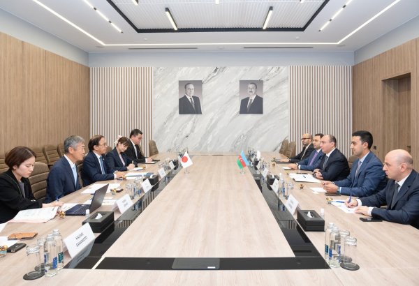 Azerbaijan, Japan discuss ways to expand cooperation in digital development (PHOTO)