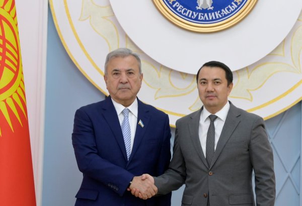 Uzbekistan, Kyrgyzstan seek closer transport and energy ties