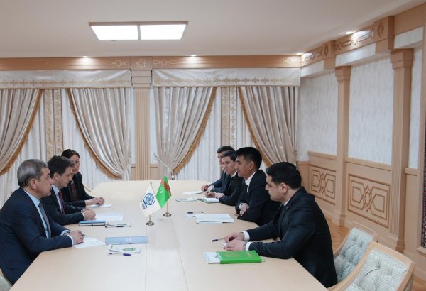 Turkmenistan, IOM discuss migration management and legal framework