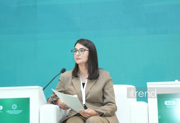 Azerbaijani NGOs win 689 projects on national and moral values since 2020