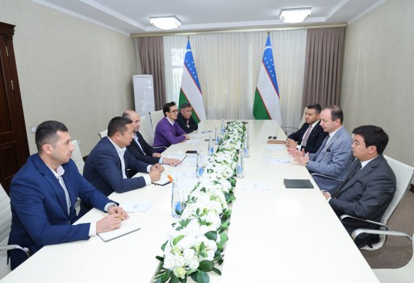 Uzbekistan, Turkish Airlines discuss boosting tourist arrivals
