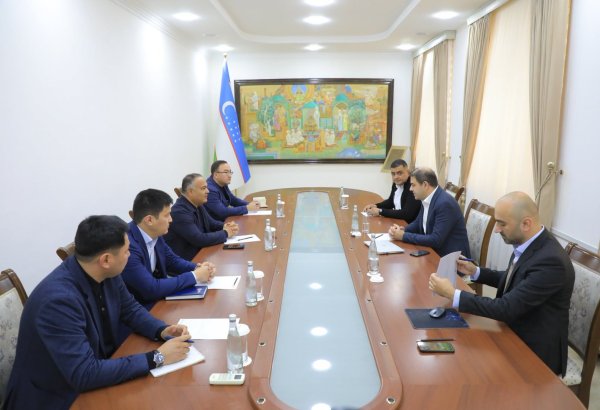 Turkish Aksa Elektrik to invest $1B in Uzbekistan’s Samarkand grid