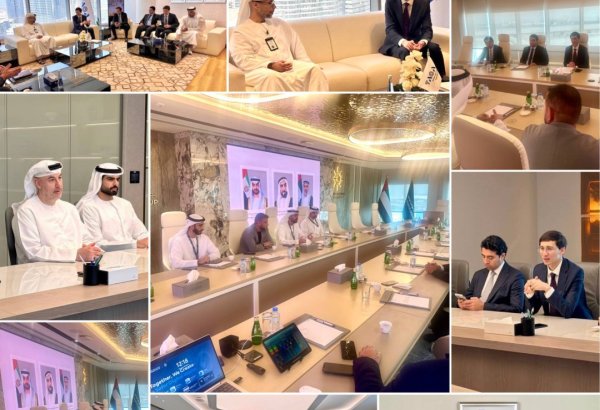 Uzbekistan, UAE companies discuss water, gas and logistics projects