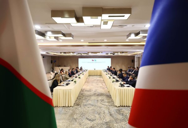 Uzbekistan, UK discuss 46 joint projects, trade expansion