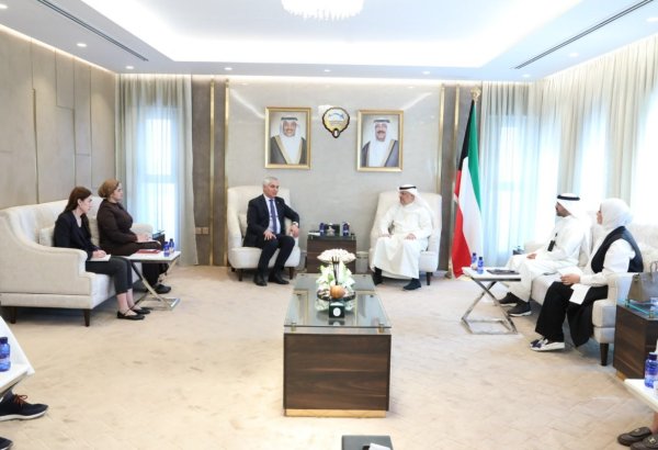 Tajikistan and Kuwait discuss cooperation in information technology