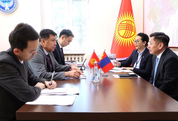 Kyrgyzstan and Mongolia discuss expanding trade and economic ties