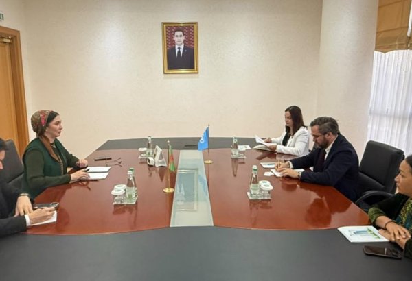 Turkmenistan, IOM discuss migration and human trafficking prevention
