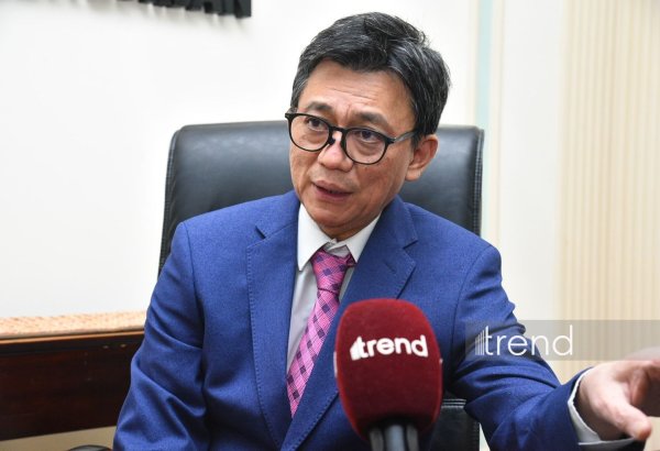 Indonesia eyes joint energy investment, role in Karabakh reconstruction