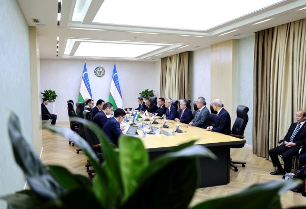 Uzbekistan, Japan's JUSRF discuss new investment projects in key sectors