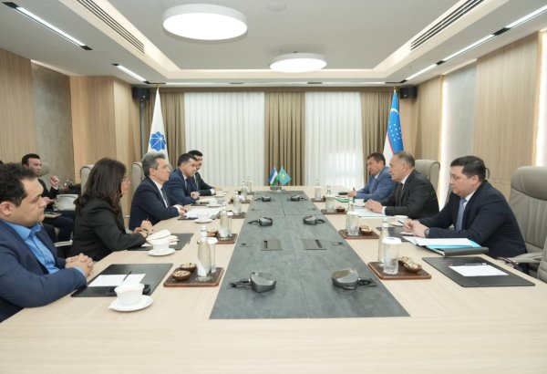 Uzbekistan, Kazakhstan seek closer ties in AI, digital infrastructure