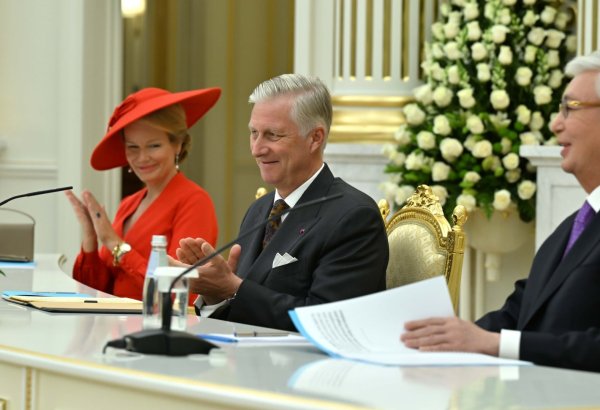 Kazakhstan at forefront of AI development - Belgian king