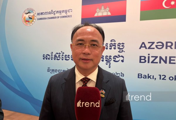 Azerbaijan, Cambodia discuss expanding investment and energy cooperation