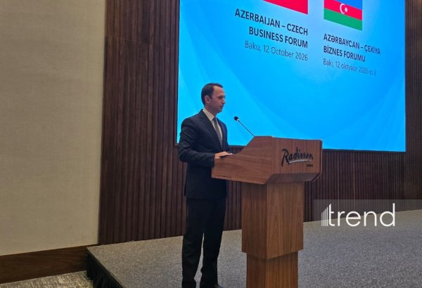 Azerbaijan seeks Czech partners for transport, logistics projects – AZCON