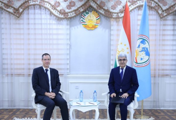 Tajikistan and Austria discuss further bilateral cooperation