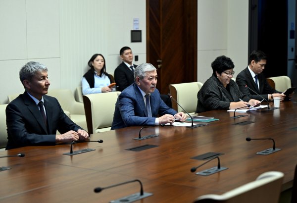 Kyrgyzstan, WCO discuss digital reforms and customs standards