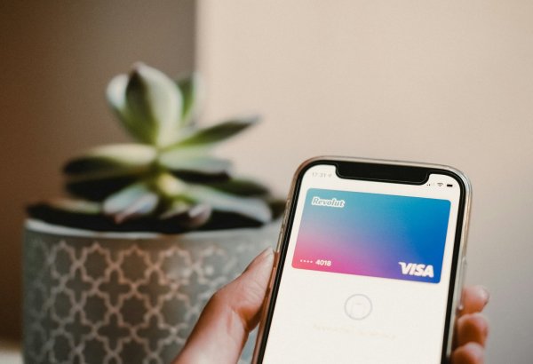 Rysgal accounts for 46.1% of Turkmenistan's mobile banking in eight months