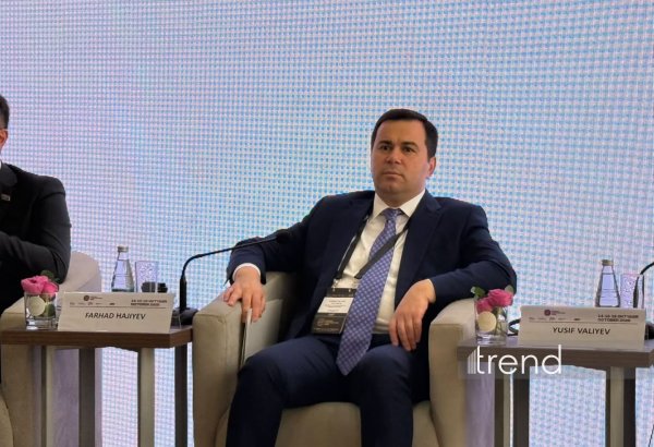 Four major sports venues under construction in Karabakh – deputy minister