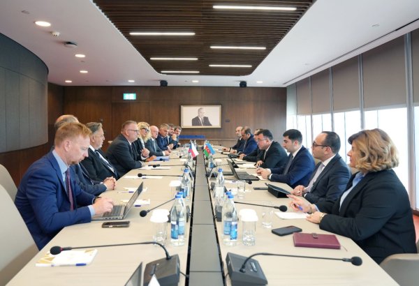 Azerbaijan, Czech Republic discuss economic, transport cooperation (PHOTO)
