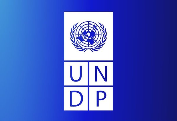 Uzbekistan to restore 140,000 hectares under ECOLAND project - UNDP (Exclusive)
